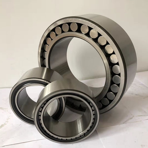 Ring roller bearing